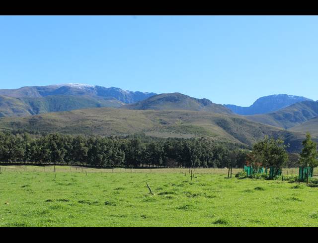 118HA FARM FOR SALE IN GREYTON